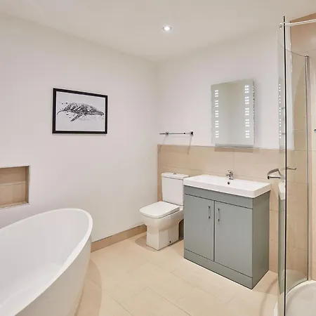 Host & - Swift View 휫비